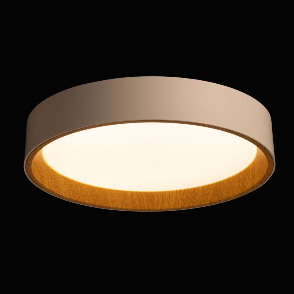 Потолочный светильник De Markt City Ривз 674018001