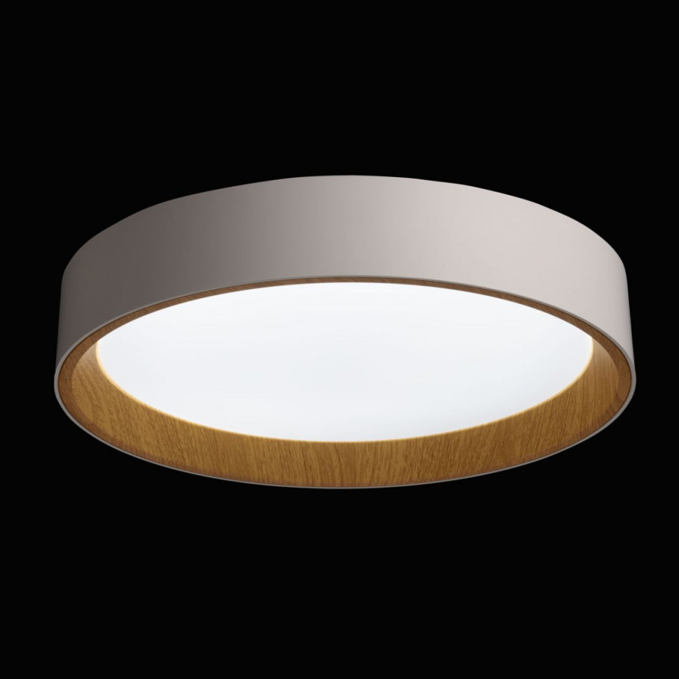 Потолочный светильник De Markt City Ривз 674018001