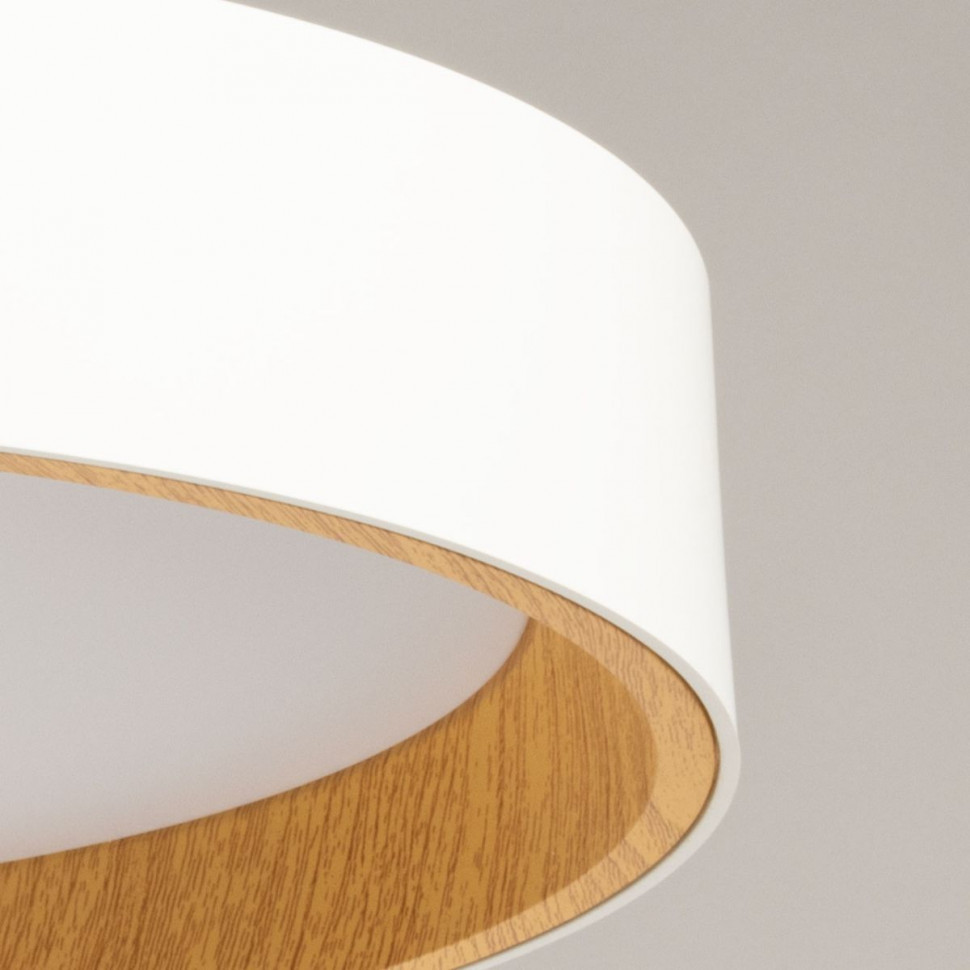 Потолочный светильник De Markt City Ривз 674018001