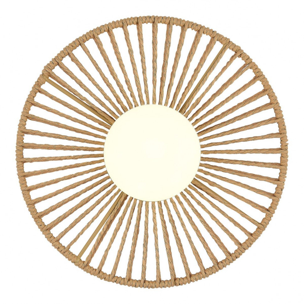 Настенный светильник Evoluce Loom SLE6022-601-01