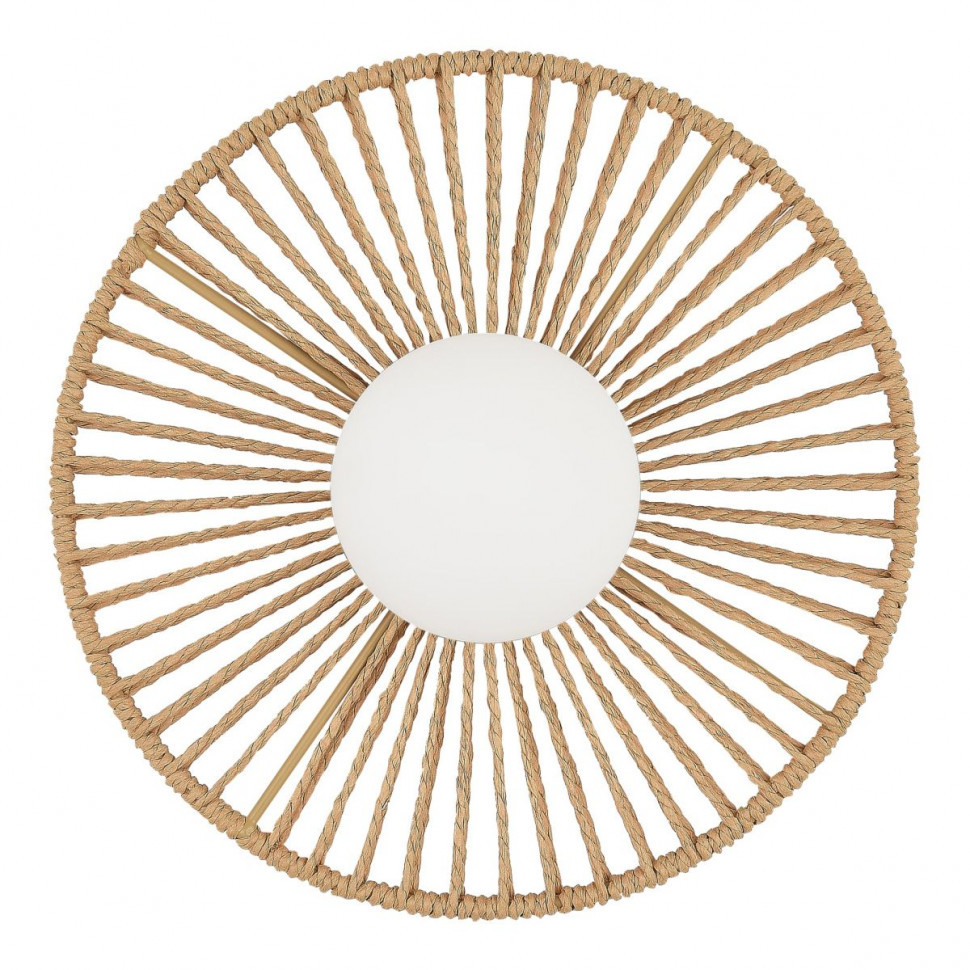 Настенный светильник Evoluce Loom SLE6022-601-01