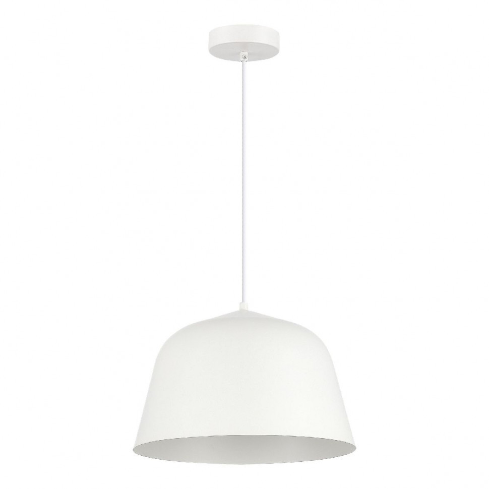 Подвесной светильник Evoluce Blank SLE1805-503-01