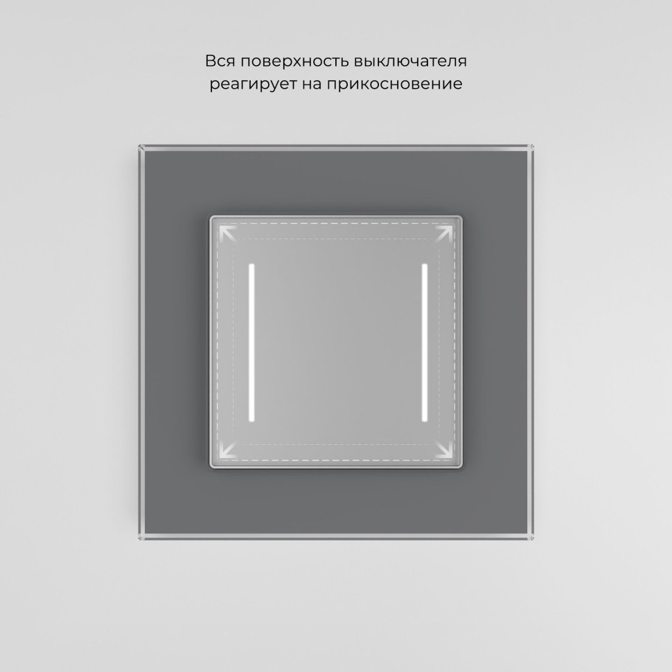 Умный сенсорный выключатель двухклавишный серебряный W4523006