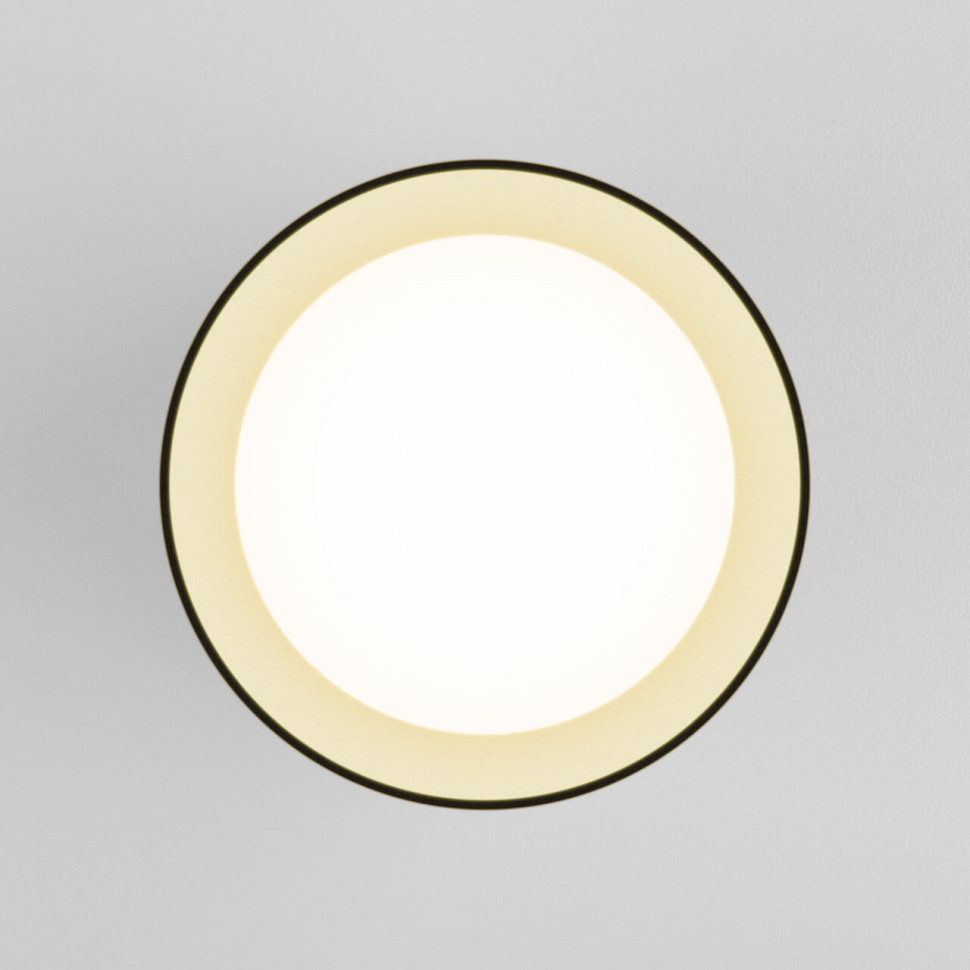 Потолочный светодиодный светильник Elektrostandard Topper DLR021 черный жемчуг 4690389167621