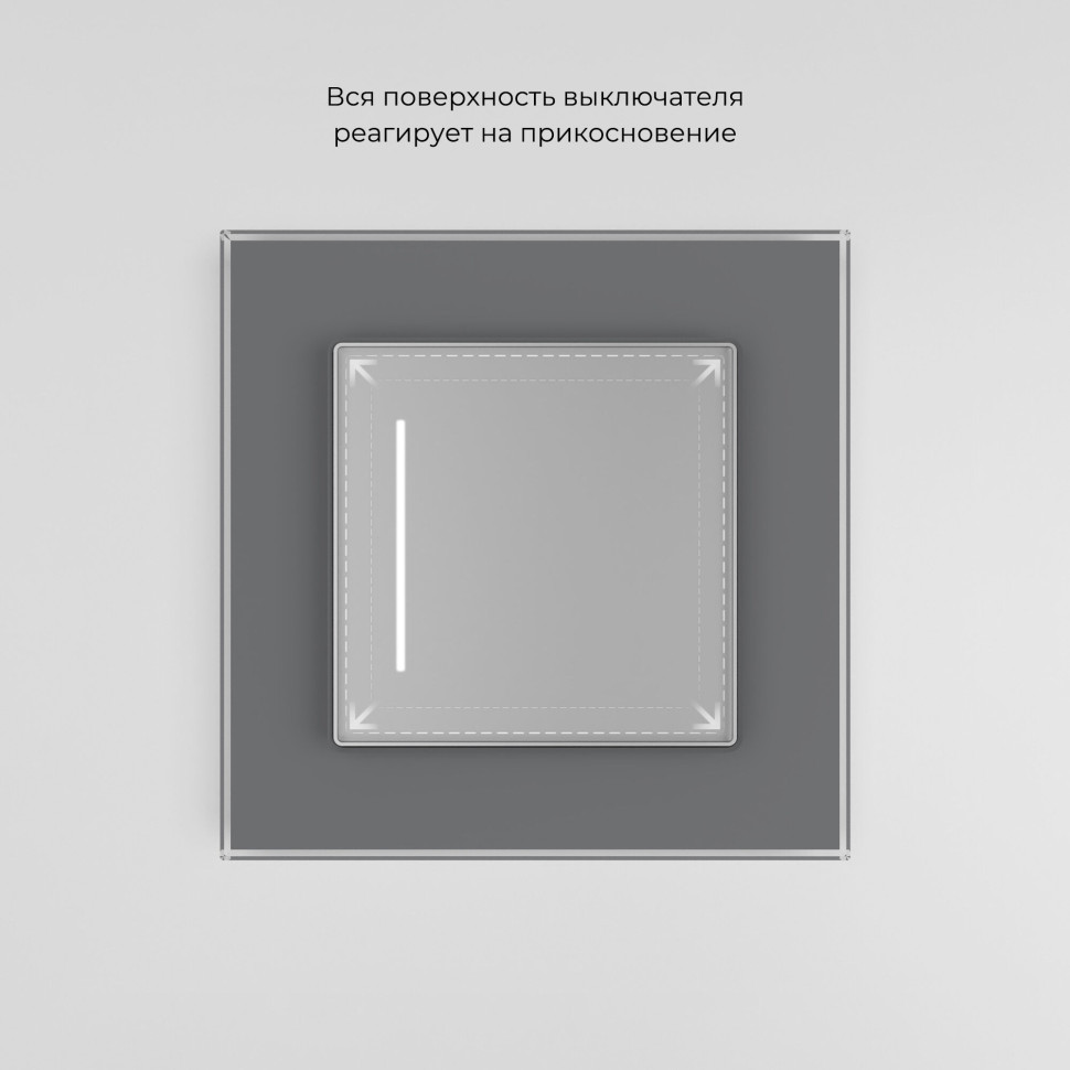 Умный сенсорный выключатель одноклавишный серебряный W4513006