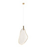 Подвесной светильник Loft IT Leaf 10349/M