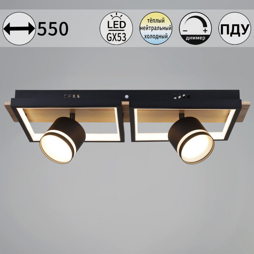 Потолочный светильник Reluce 19560-0.3-2+2 BK+WOOD