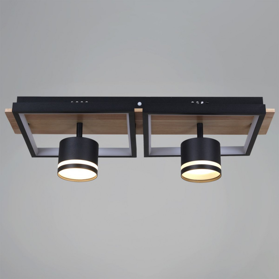 Потолочный светильник Reluce 19560-0.3-2+2 BK+WOOD