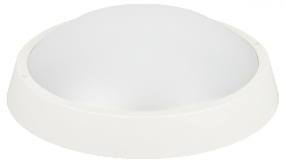 Настенно-потолочный светильник Эра SPB-203-0-40К-024 Б0062728