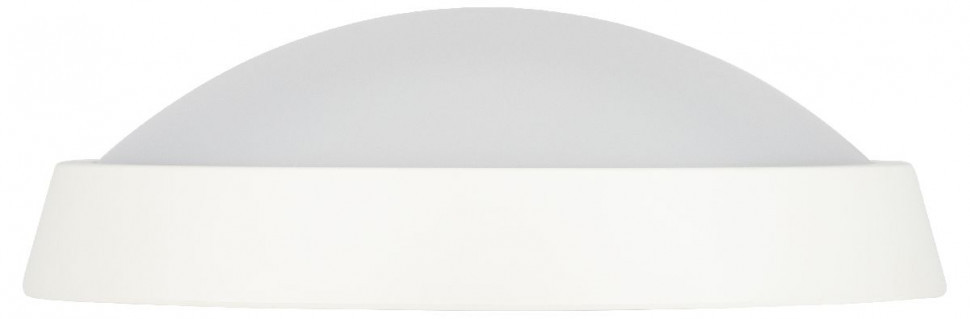 Настенно-потолочный светильник Эра SPB-203-0-40К-024 Б0062728