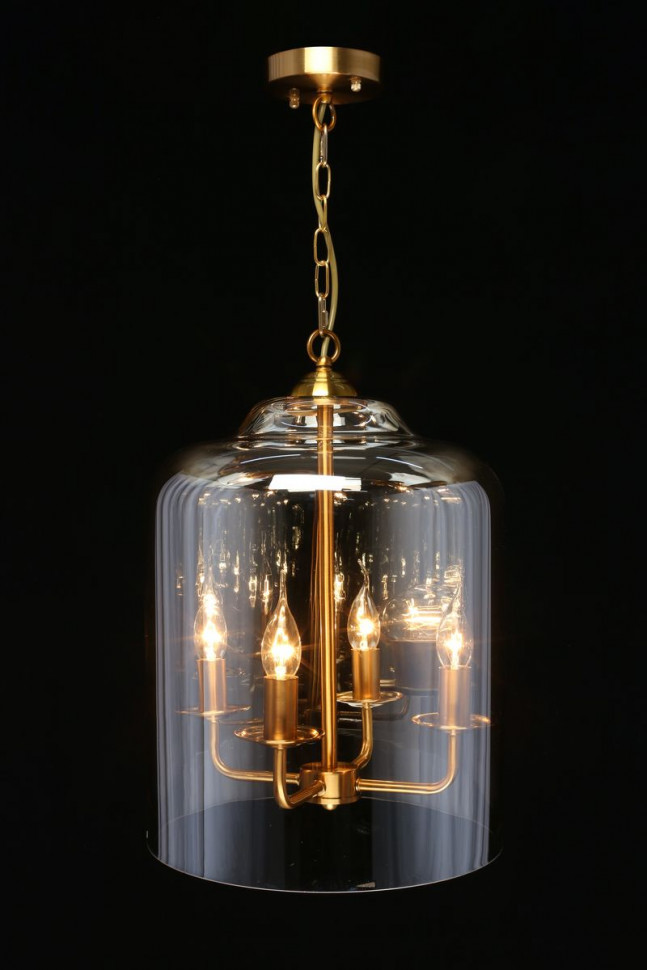 Подвесной светильник APLOYT Polin APL.603.06.06