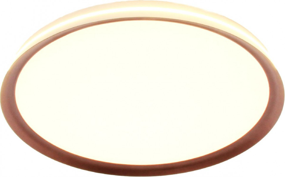 Потолочный светильник Mizi'en Titan MZ31502-430