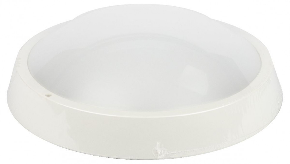 Настенно-потолочный светильник Эра SPB-203-0-65К-024 Б0062684