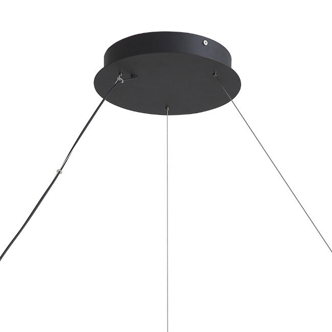 Подвесной светильник Lumien Hall Belgin LH8030/1PM-SBK