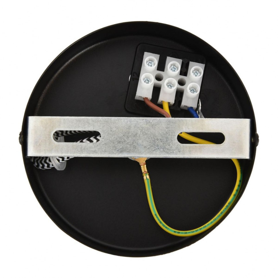 Подвесной светильник Lumion Eco Tesla 8365/1A