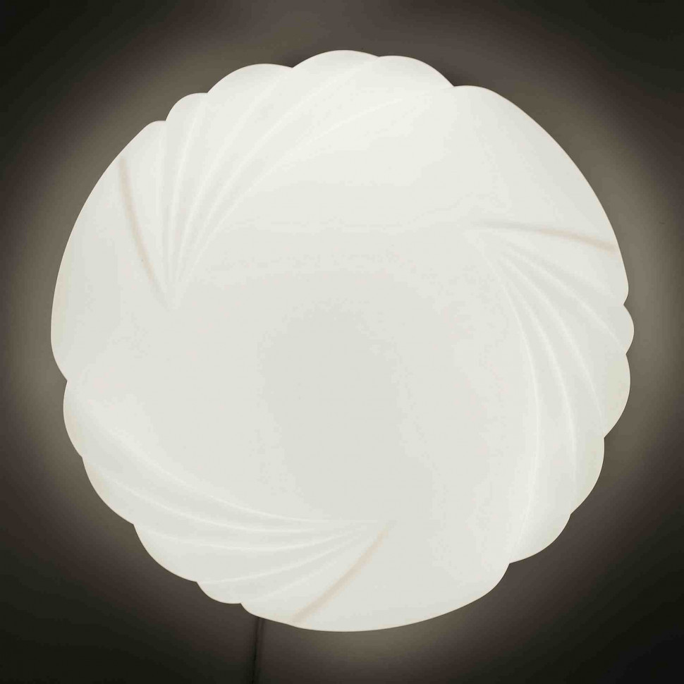 Настенно-потолочный светильник Apeyron 18-025