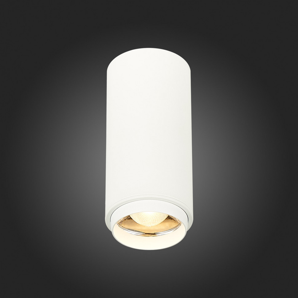 Потолочный светильник ST Luce Zoom ST600.532.10