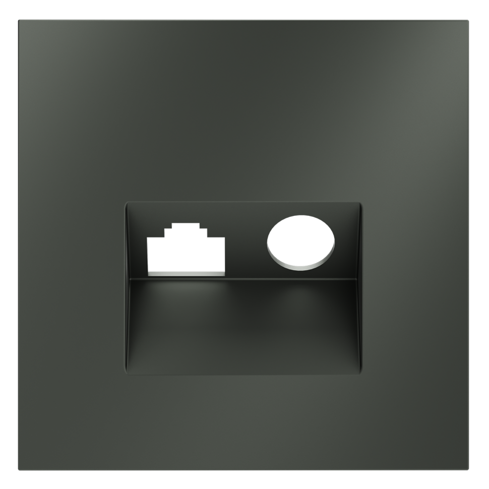 Накладка для розетки TV+RJ45 кат. 6, S70 (титан)