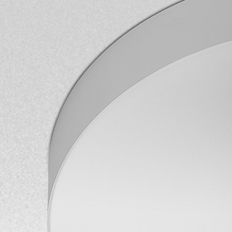 Накладной светильник Citilux Bart CL755390