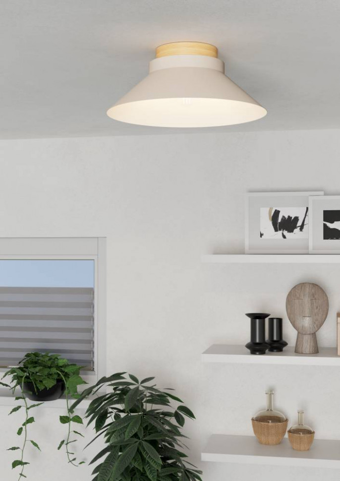 Потолочный светильник Eglo Moharras 900736