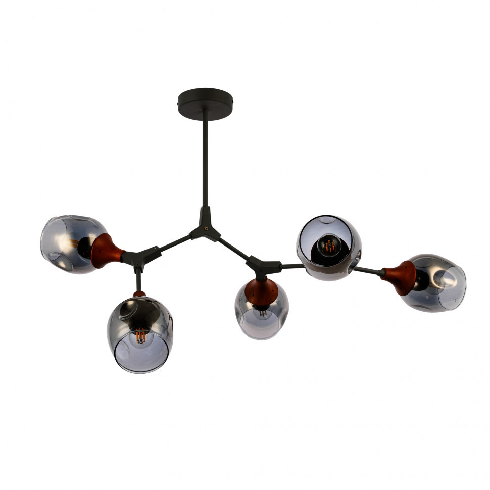 Потолочный светильник EVOLUCE CIOTOLLA SLE113402-05