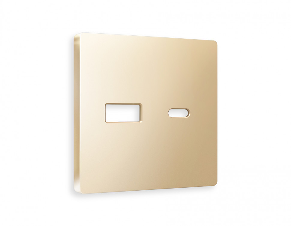 Лицевая панель ALFA (Шампань) для розетки 2USB тип A+C QUANT AP6110