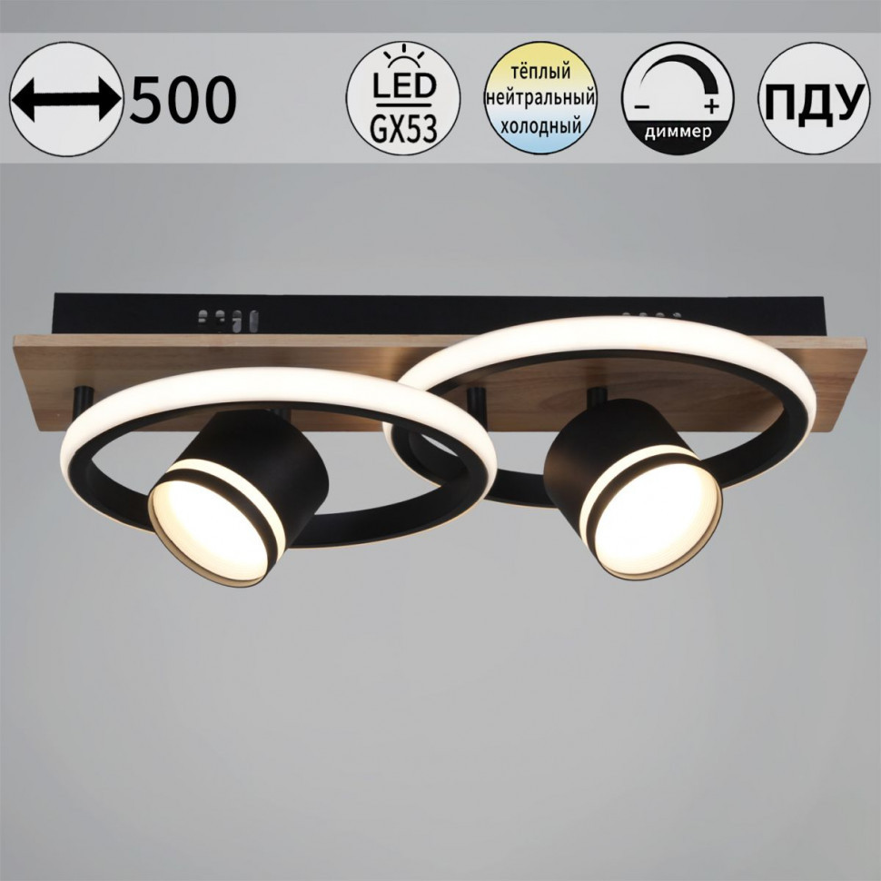 Потолочный светильник Reluce 29560-0.3-2+2 BK+WOOD