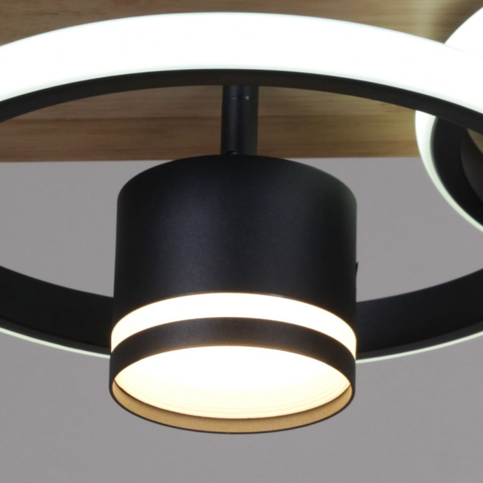 Потолочный светильник Reluce 29560-0.3-2+2 BK+WOOD