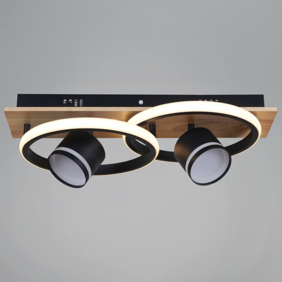 Потолочный светильник Reluce 29560-0.3-2+2 BK+WOOD