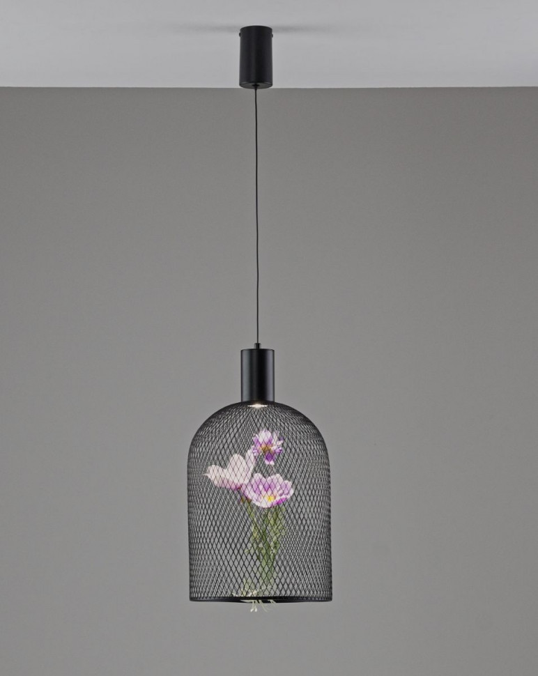 Подвесной светильник Moderli Ophelia V11875-PL