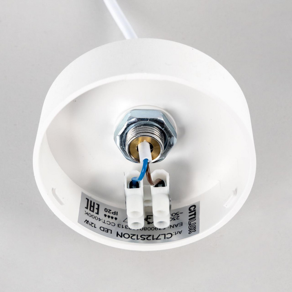 Подвесной светильник Citilux Тао CL712S120N