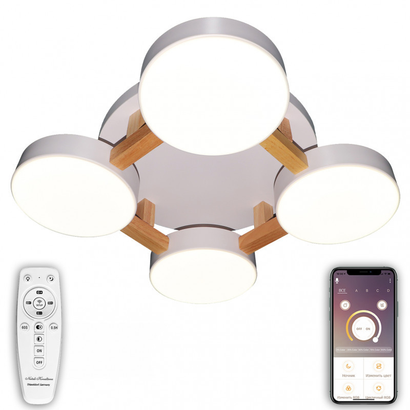 Потолочный светильник Natali Kovaltseva LED LAMPS 81325