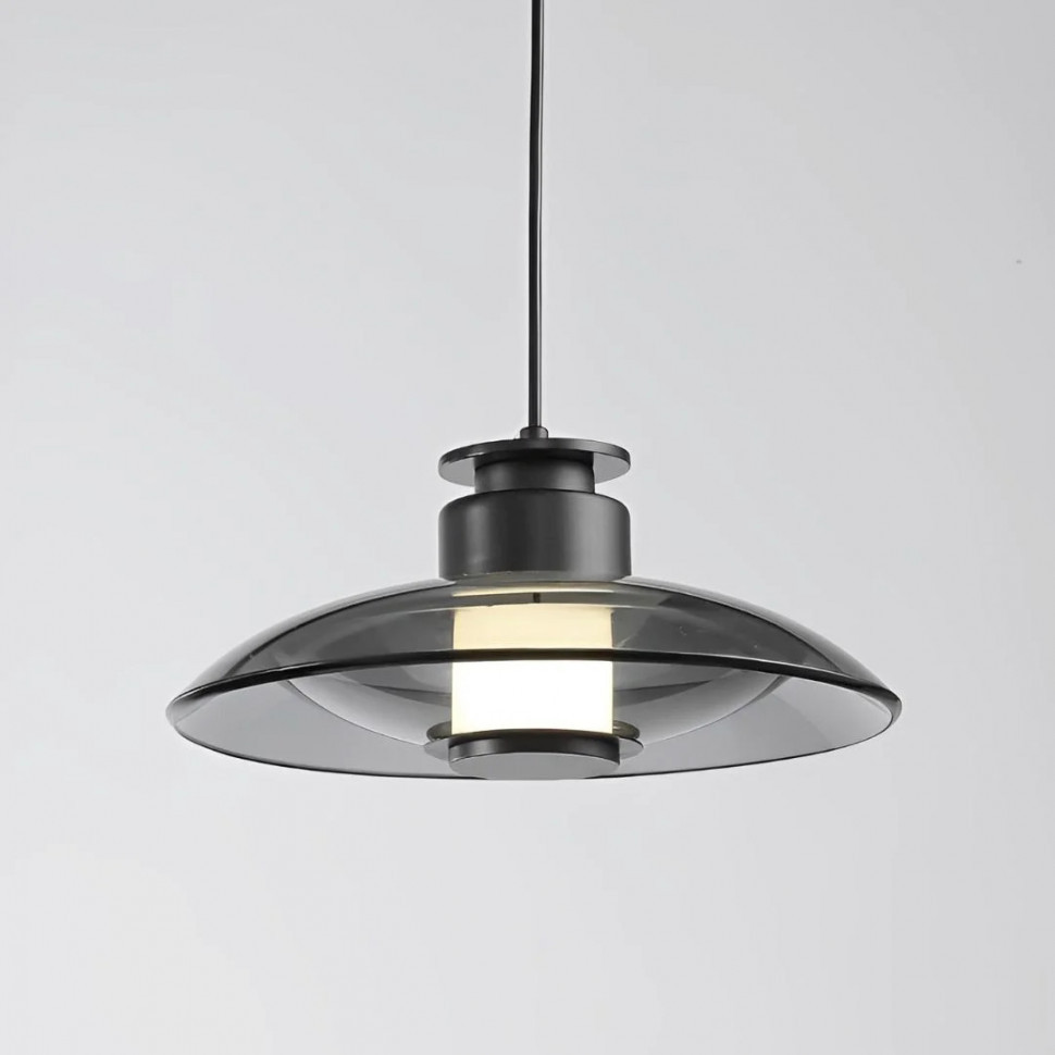 Подвесной светильник Delight Collection 8665P/L black/smoky