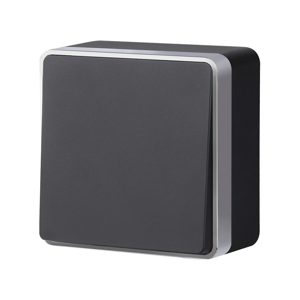 Выключатель одноклавишный Gallant черный с серебром W5010034 W5010034