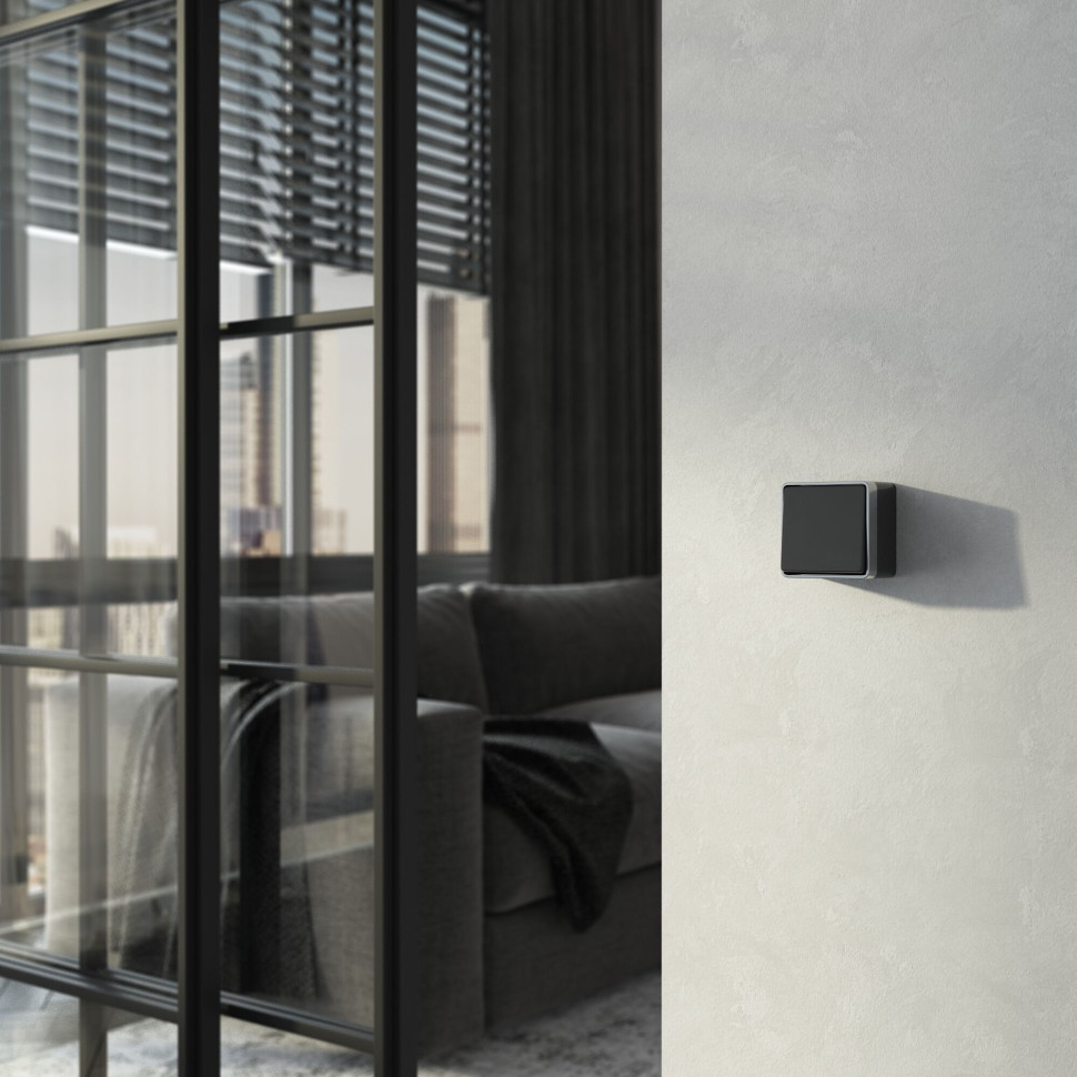 Выключатель одноклавишный Gallant черный с серебром W5010034 W5010034