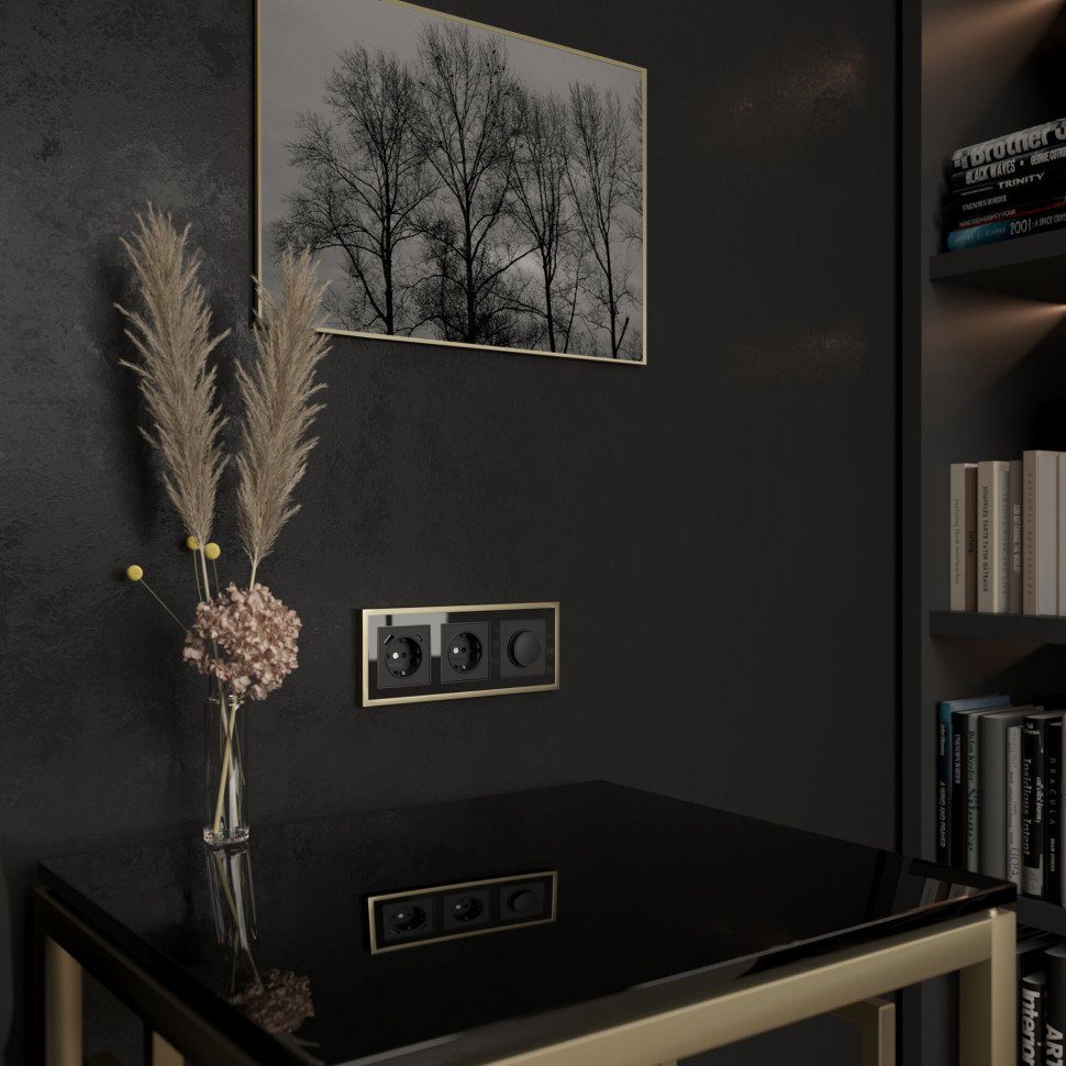 Розетка с заземлением и шторками (черный матовый) W1171108