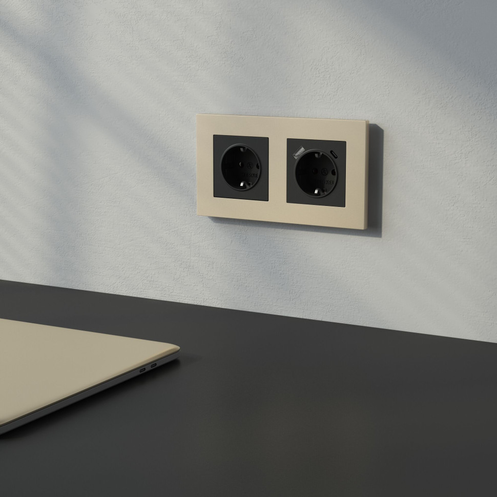 Розетка с заземлением и шторками (черный матовый) W1171108