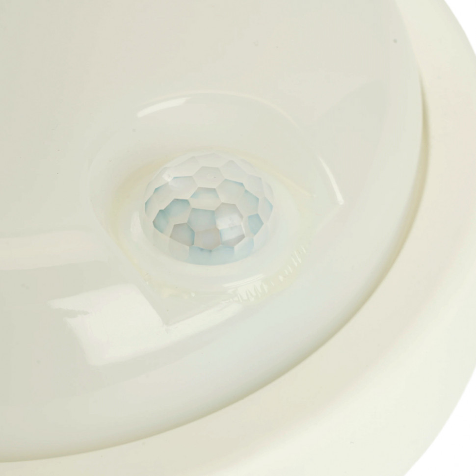 Настенно-потолочный светильник Feron AL3006 48995