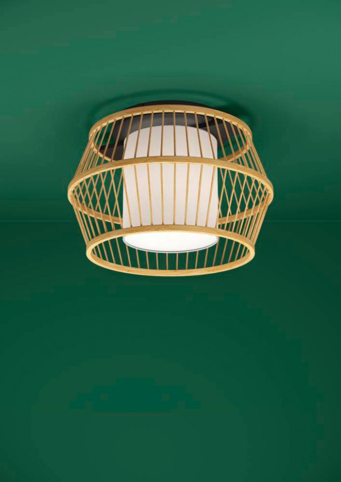 Потолочный светильник Eglo Monterroso 390232