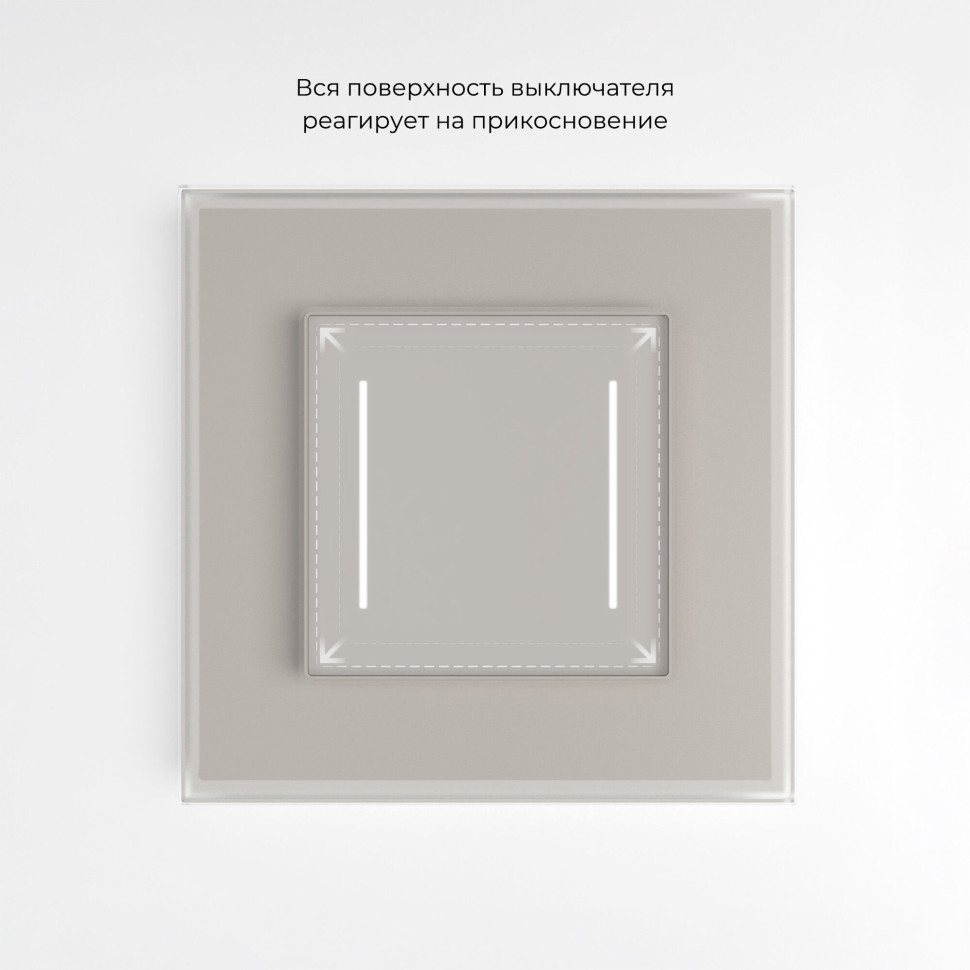 Сенсорный выключатель двухклавишный с подсветкой (дымчатый) W4522014