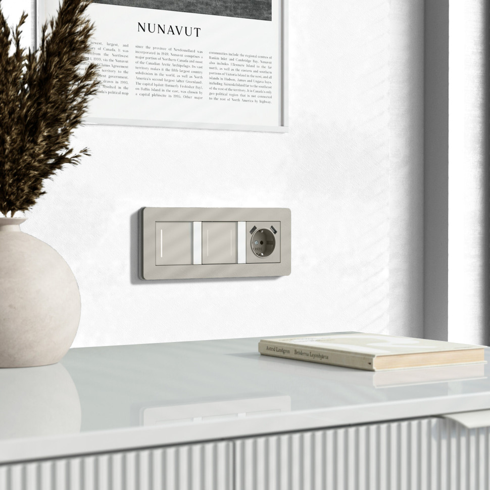 Сенсорный выключатель двухклавишный с подсветкой (дымчатый) W4522014