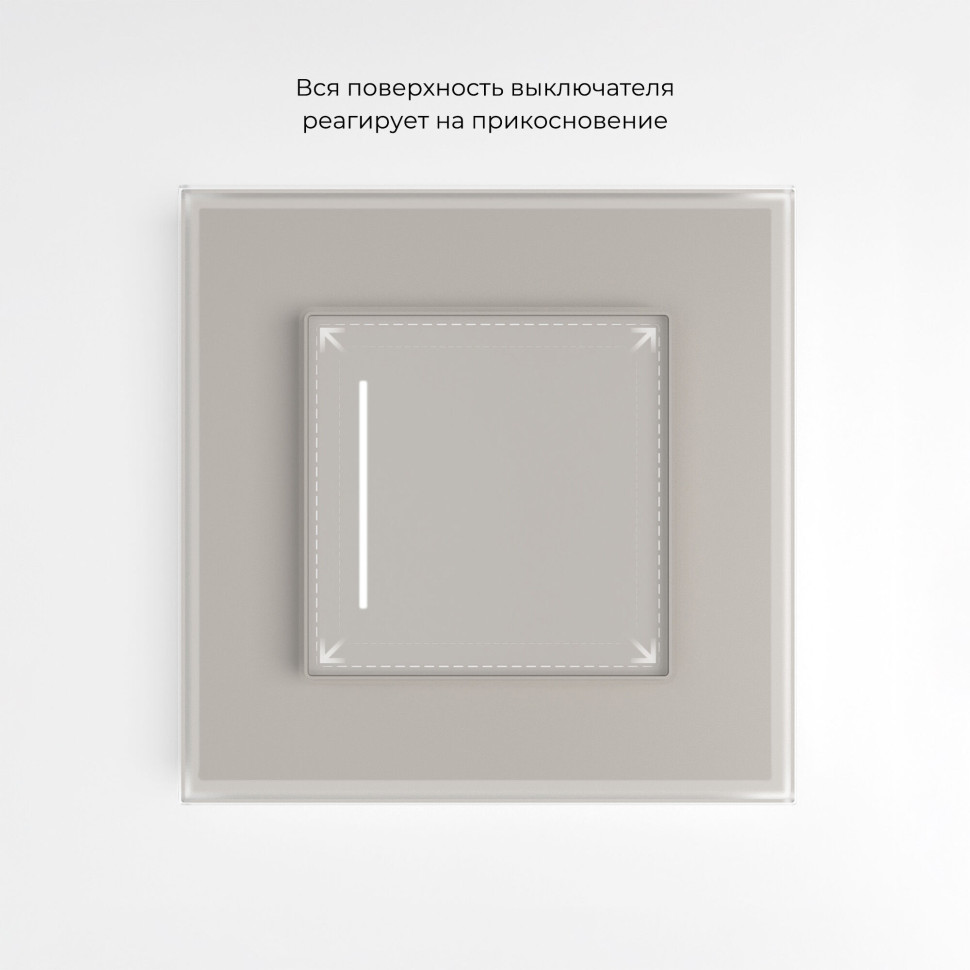 Сенсорный выключатель одноклавишный с подсветкой (дымчатый) W4512014