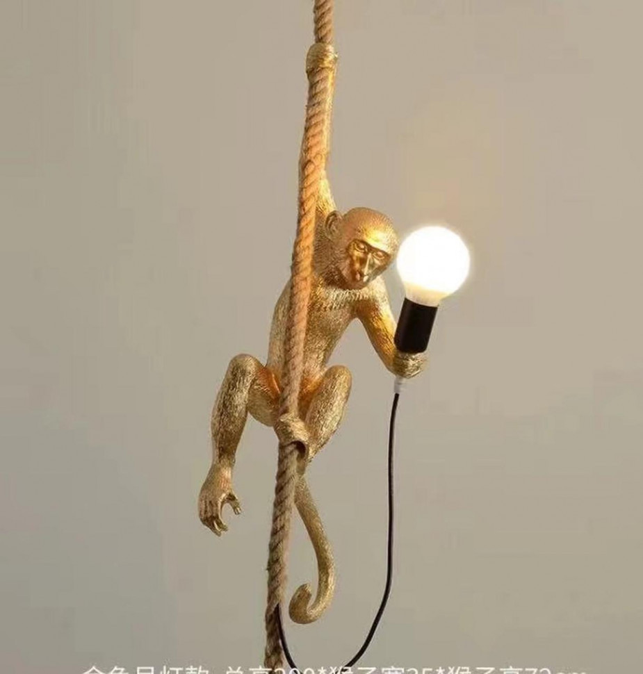 Светильник подвесной F3324-22