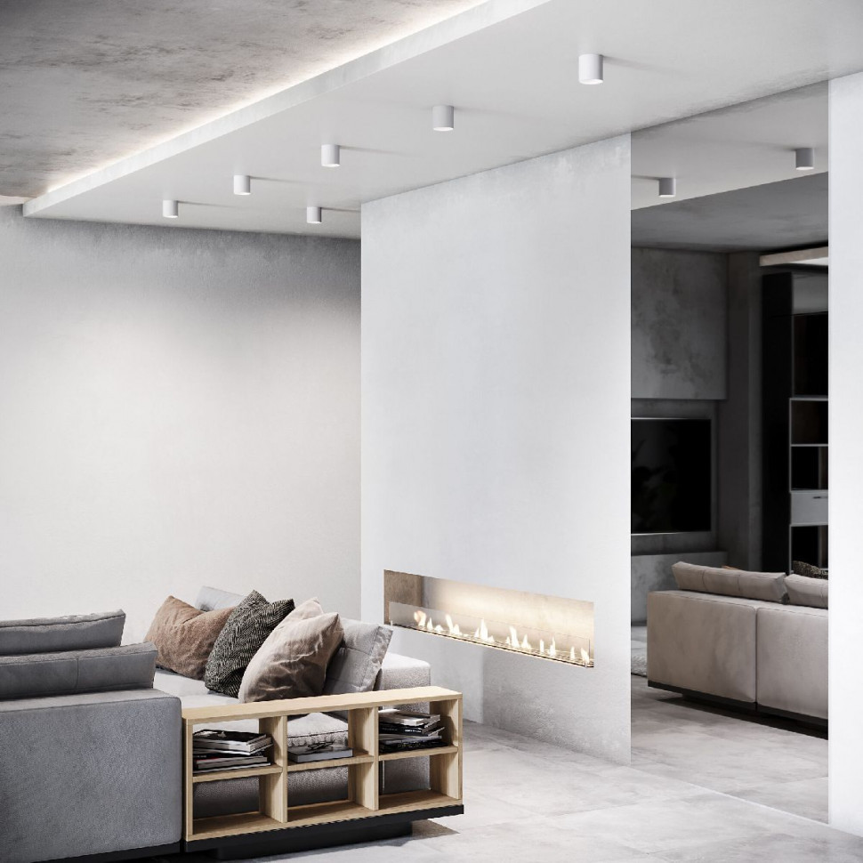 Накладной светильник Elektrostandard Orson 4690389193910 a062930