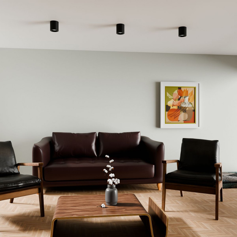 Накладной светильник Lightera Shamrock LE201CL-1BB