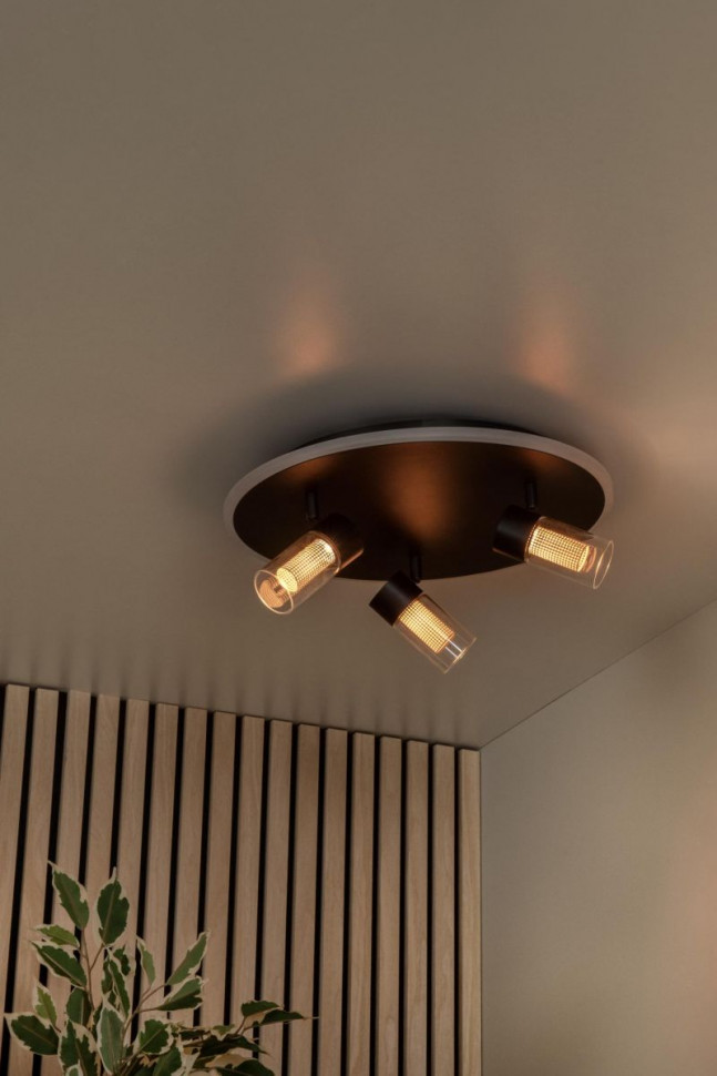 Потолочный светильник Lucide Everina 00131/40/30