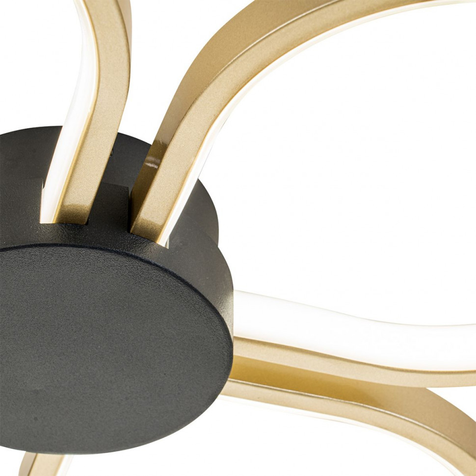 Потолочный светильник Escada Clover 10243/4LED