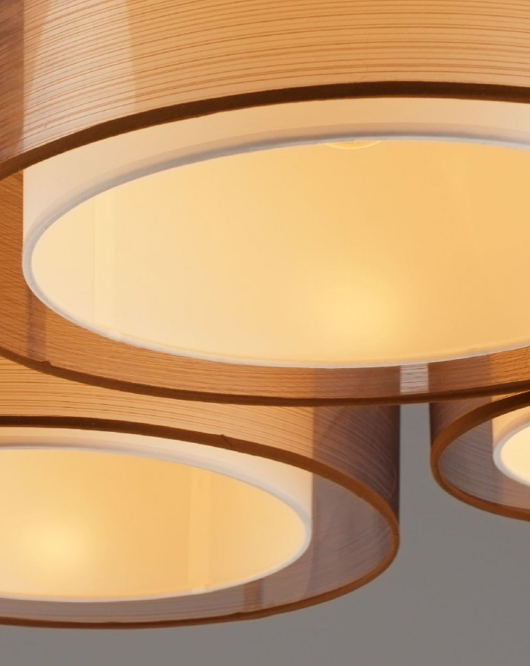 Потолочный светильник Moderli Room V10624-5C