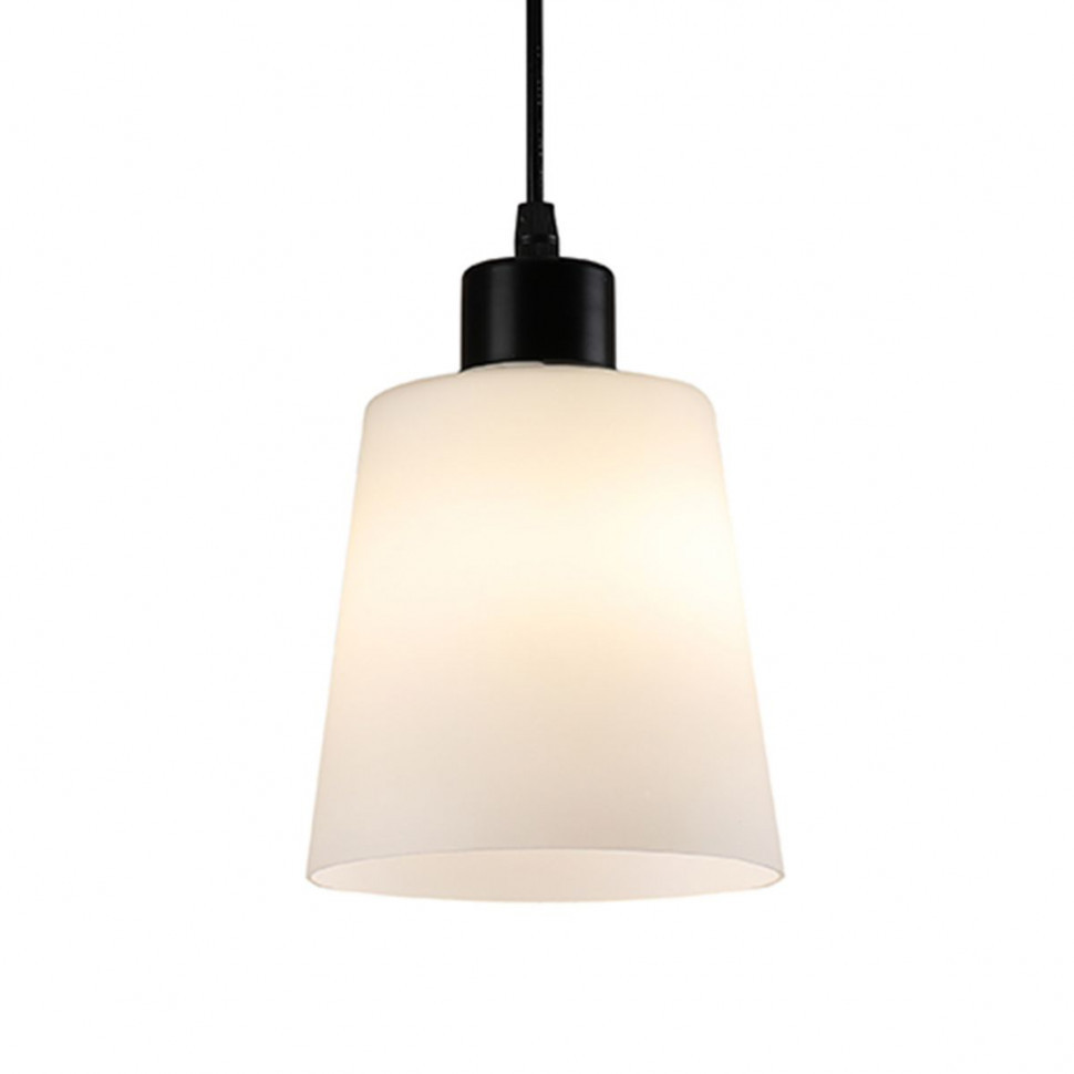 Подвесной светильник Escada Clarity 120004/1P Black ES0000041