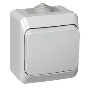 Выключатель одноклавишный 10АХ IP44 серый Systeme Electric Этюд BA10-041C